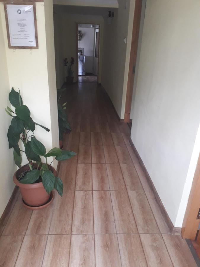 Nunu'S Guesthouse チャルトゥボ エクステリア 写真